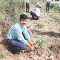 Dinesh Patil