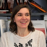 Agnès De Vergnette