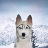 Abdirizak Ali Hussein