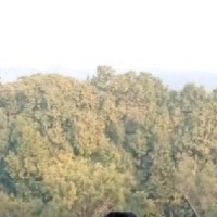 Shailendra Kumar