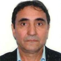 Ion Voinea