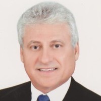 Nabil Skaria