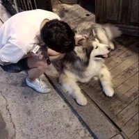 陈贻斌