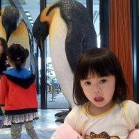 赖刚毅