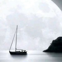 Arefin Kader