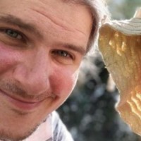 Michael Mohr
