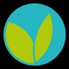 International Sustainable Economy Forum (Isef)