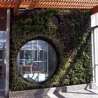 Fabricio Carranco Cortez