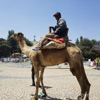 Girma Woldemichael