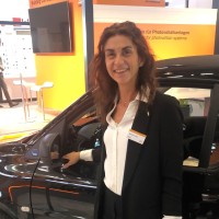 Domenica Stein