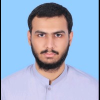 Badar Sultan