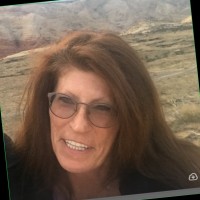Jodi Williams