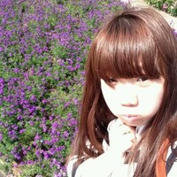 liu amy