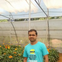 Sarvesh Bapat