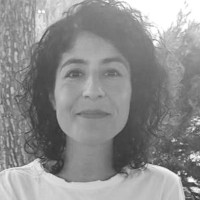 Verda Sogut