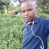 Kyalo Bosco