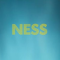 Ness Technology Led Dance Floor