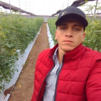 Arturo Valenzuela acuña