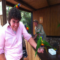 Stijn Wesselink