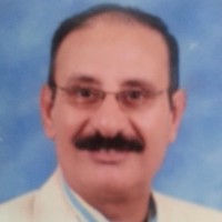 Essam Elfar