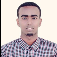 Bile Bashir Salad