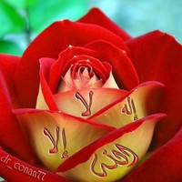 Ahmed Hieba