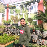 Akshay Ramteke