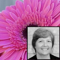 Gillian Law