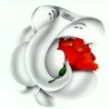 Rakshitha Mk