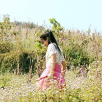 Lê Thảo
