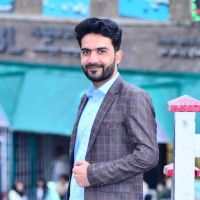 Amir Hamza