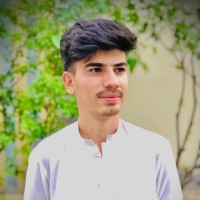 Anis Saeed