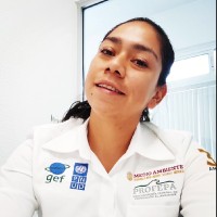 Teresa Salazar Velázquez