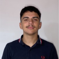 Luis Fernandes