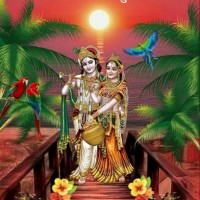 Aman Shreemali