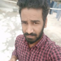 Vignesh S