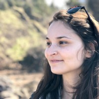 Allison Lindenberg