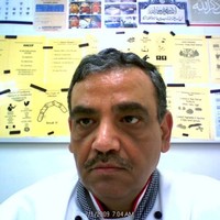 adel wassef