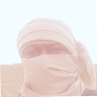 الطير الجارح الطير الجارح