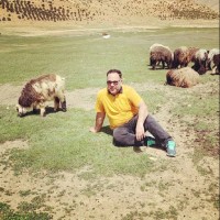 Reza Heidari