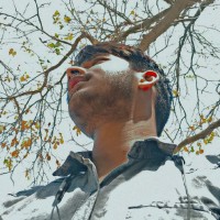 Harsh Vimal