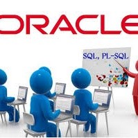 Oracle Plsql