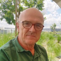 Rene Van Son