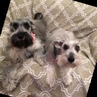 Emmanuel Martínez Luna