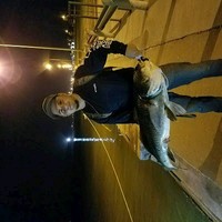 Noe Ibarra