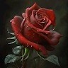 Florin Galateanu