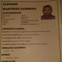 Alfonso Martinez Carmona