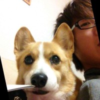 大木成一朗
