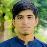 Musawar Sultan