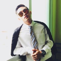 Alvin Auditor